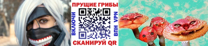 Псилоцибиновые грибы мицелий  mega tor  Полярный  где можно купить  